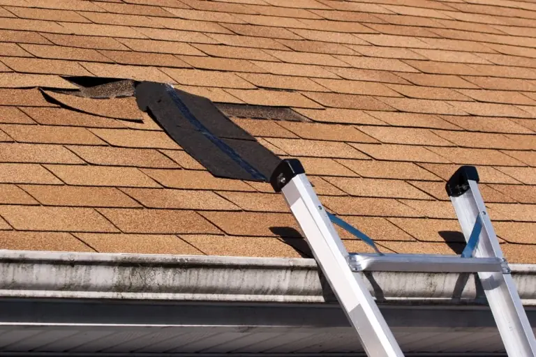 Common Shingle Nailing Mistakes: A Master Guide to Roof Integrity